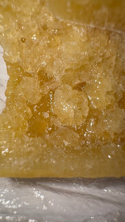 SHATTER SUPER LEMON SAPIENS