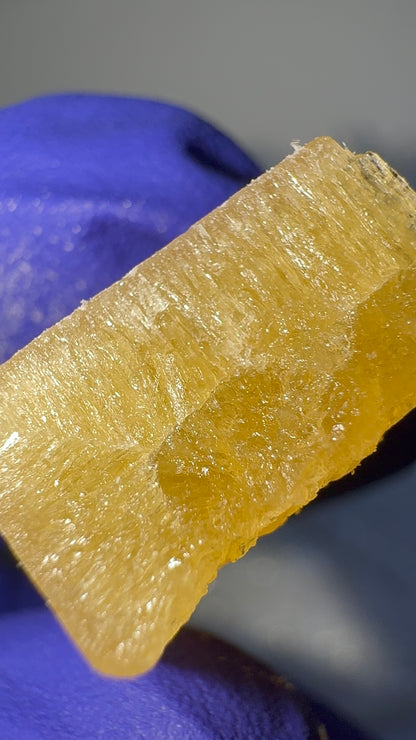 SHATTER SUPER LEMON SAPIENS