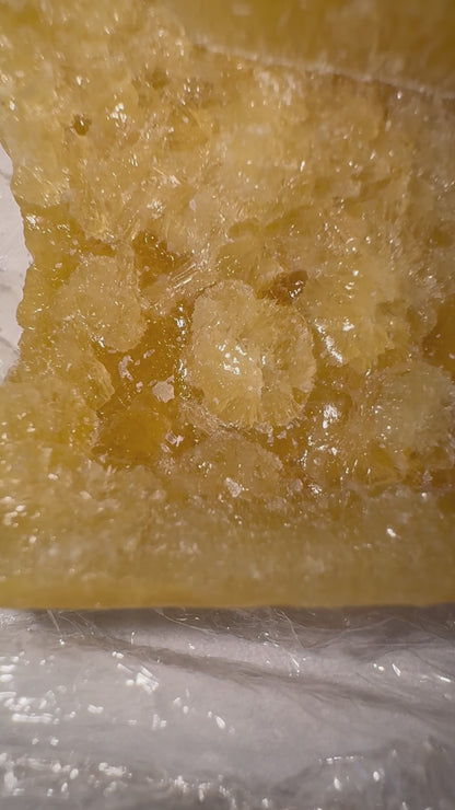 SHATTER SUPER LEMON SAPIENS